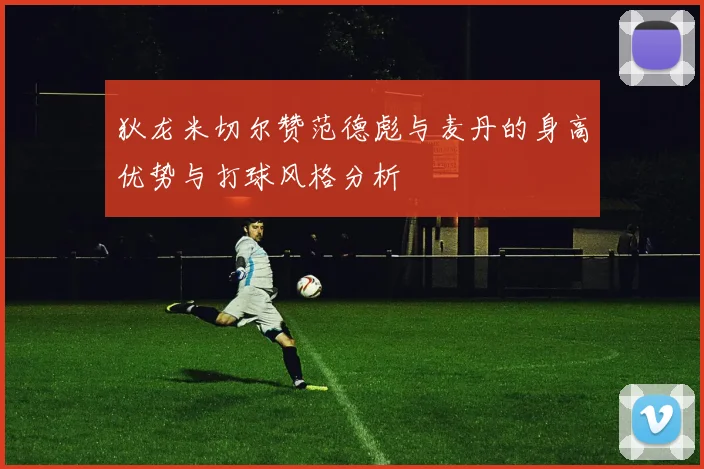 狄龙米切尔赞范德彪与麦丹的身高优势与打球风格分析