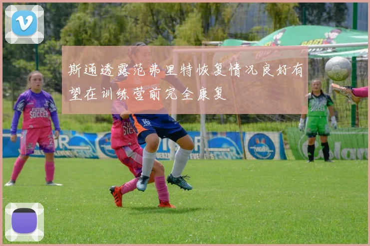 斯通透露范弗里特恢复情况良好有望在训练营前完全康复